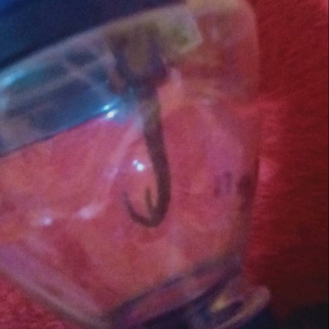 Cicak buntut bercabang memang sangat langka dan sulit didapatkan. Pasalnya, tidak setiap kelahiran.