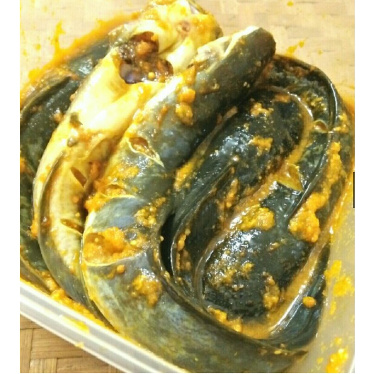

lele Bumbu Kuning Siap Goreng 1 Pcs