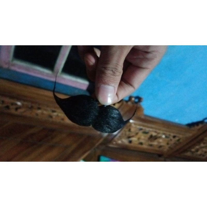 Kumis jaran kepang/Jebres