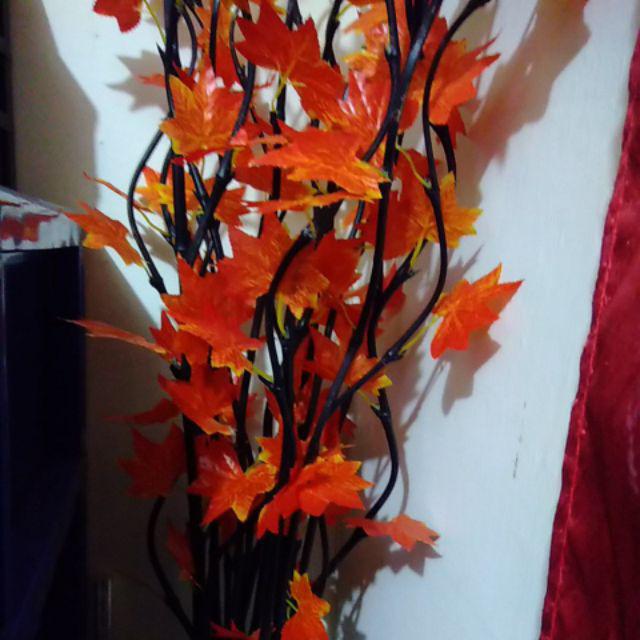 20 Btg Bambu Ulir Cendani Polos Hitam (142 Cm)