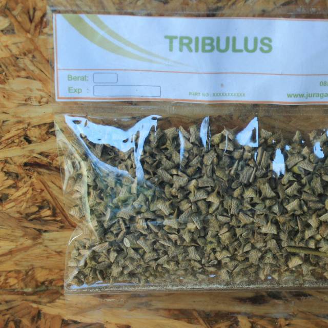 

Biji-Tribulus bubuk serbuk tribulus