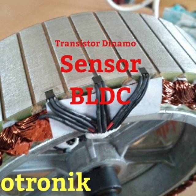 Sensor Dinamo BLDC sepeda listrik Molis selis bisa untuk berbagai merk kode 41F