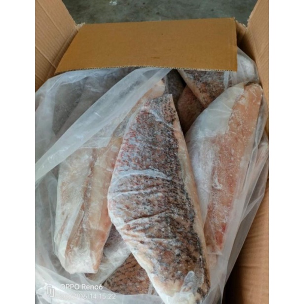 

ikan beku fillet kakap merah skin on 1kg