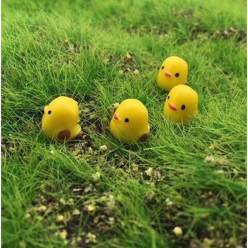 Miniatures - Terrariums - Fairy Garden Animal_Chicks (5pcs)