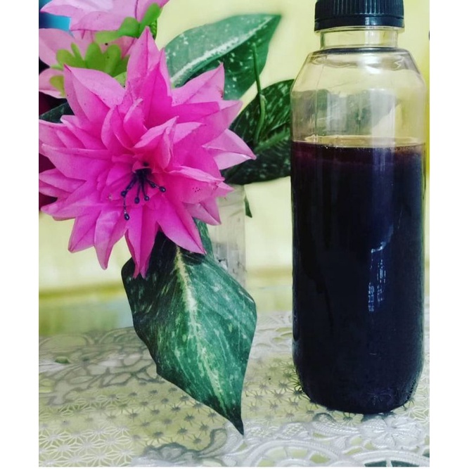 

madu asli lebah liar