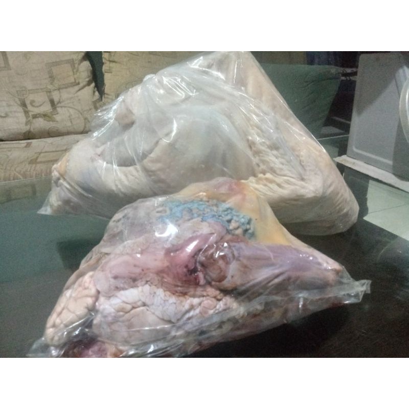 

DAGING SEGAR KALKUN LOKAL UTUH BIG SIZE 7.25 KG HARUS DIUNGKEP/PRESTO DULU SEBELUM DIOLAH