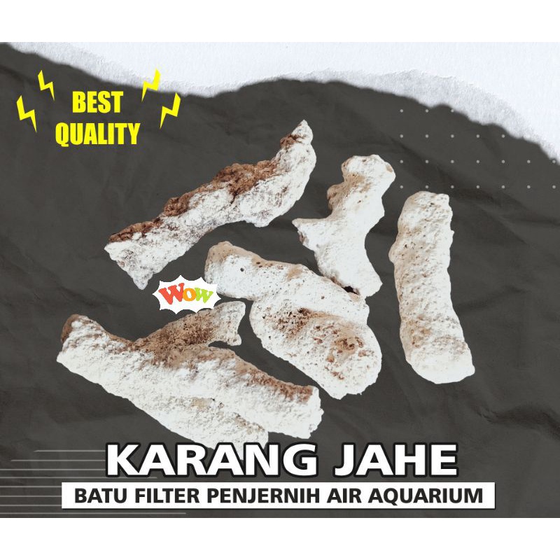 Karang Jahe 1kg / Batu karang jahe / Media Filter kolam ikan Aquarium