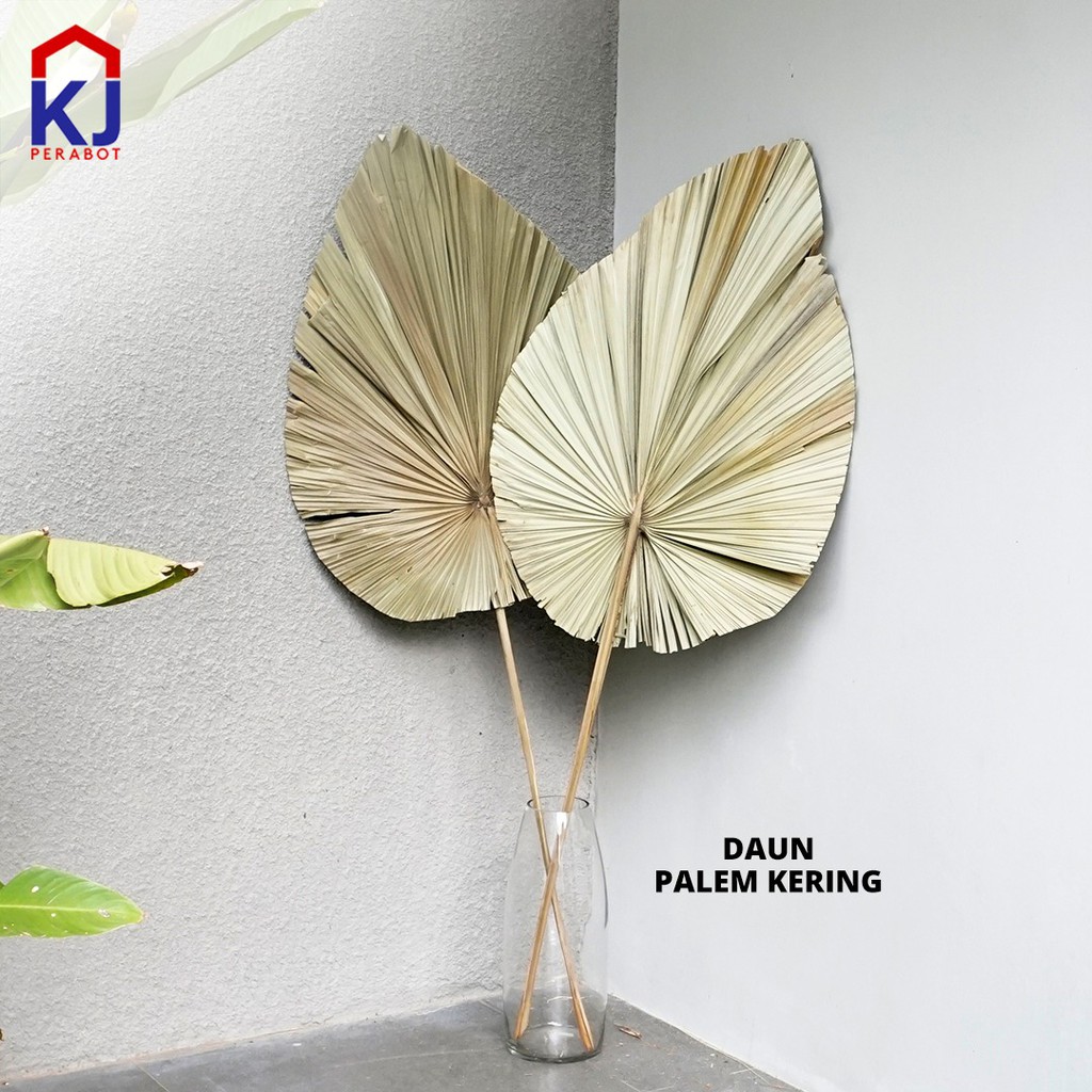 DAUN PALEM KERING Shopee Indonesia DAUN PALEM KERING Shopee Indonesia