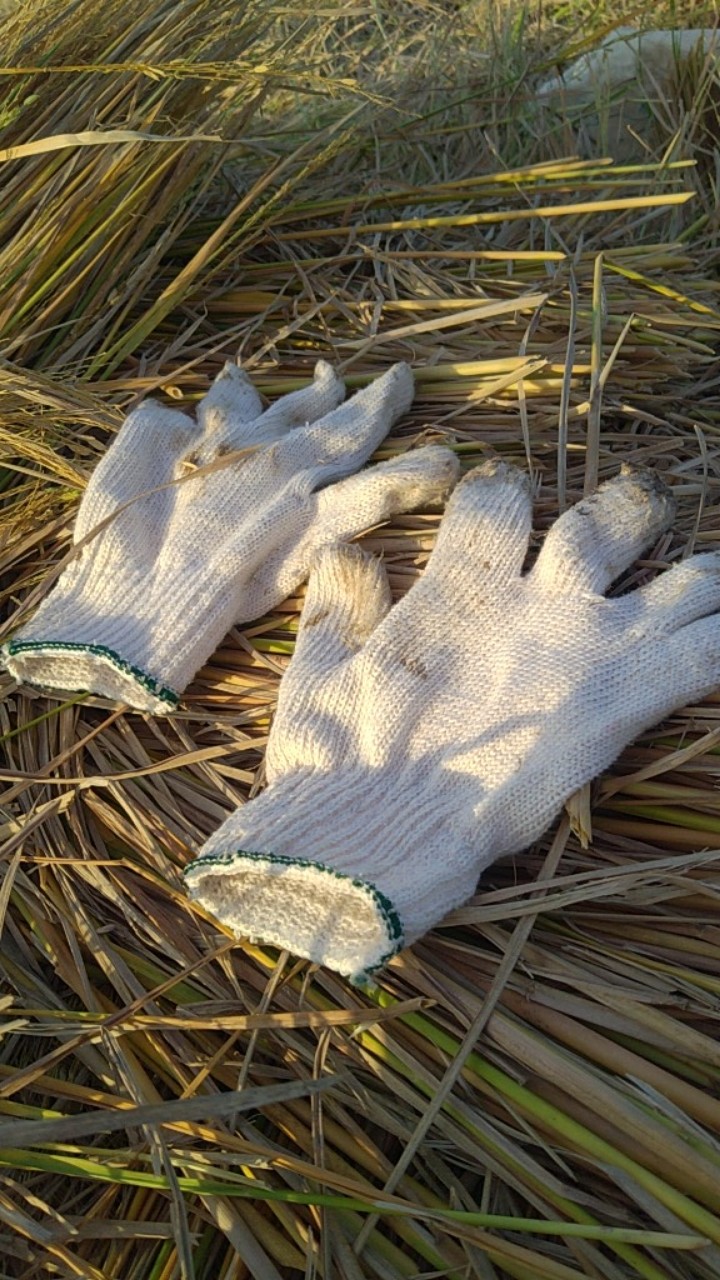 Sarung Tangan Kain Putih 8 Benang Nice Gloves