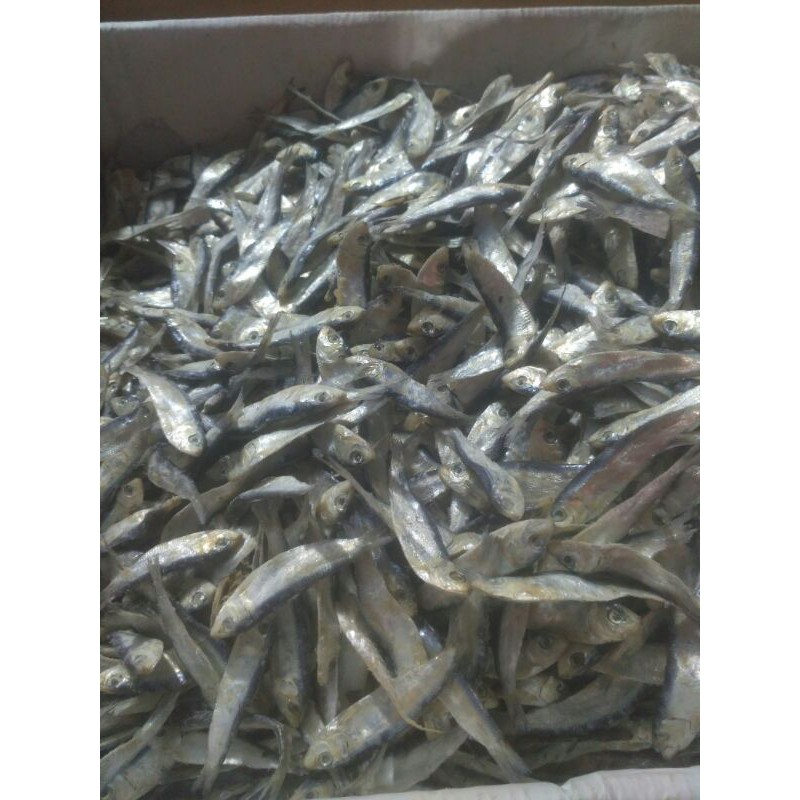 

Ikan asin tembang kecil 125 gram