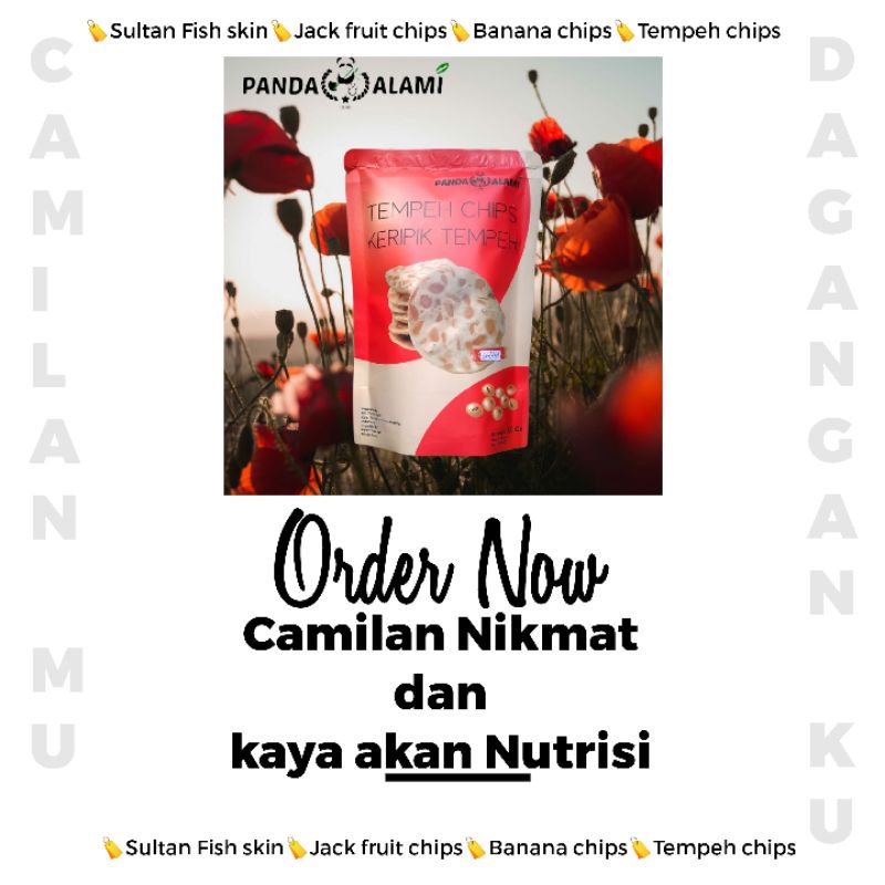 

oleh-oleh keripik Tempeh 130g Panda Alami