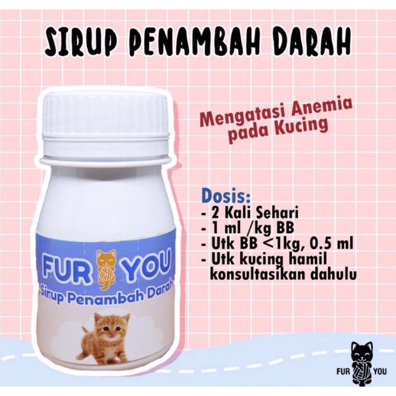 obat sirup penambah darah kucing