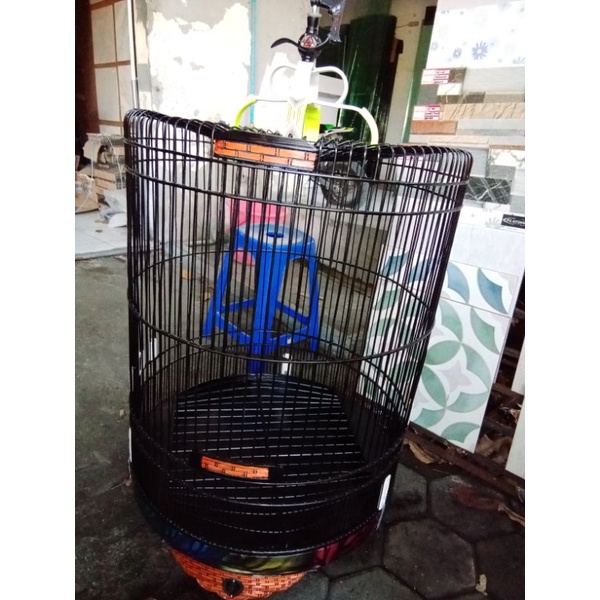 sangkar Kacer / sangkar murai Kalimantan / variasi sangkar / kerodong sangkar / sangkar jati