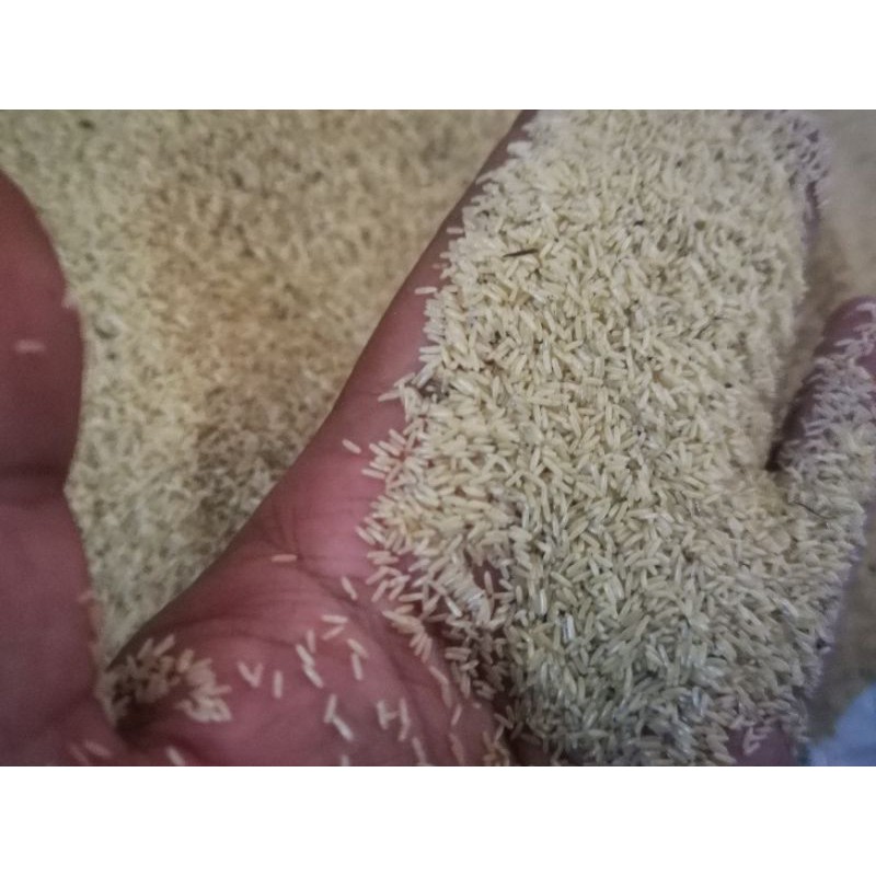 telur jangkrik kalung 500gr