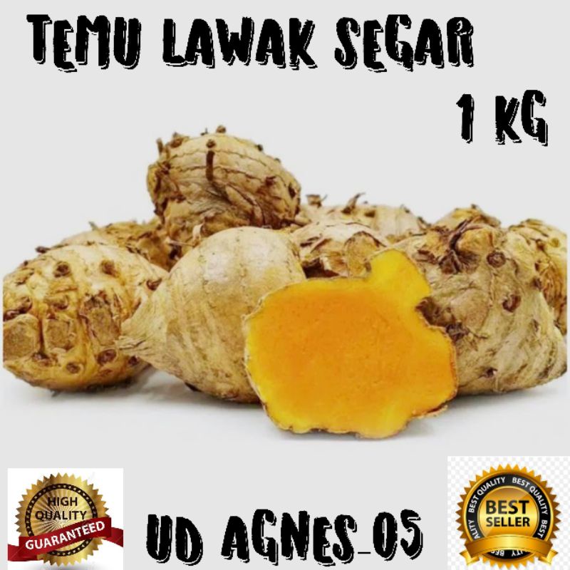 

Temulawak segar 1 kg