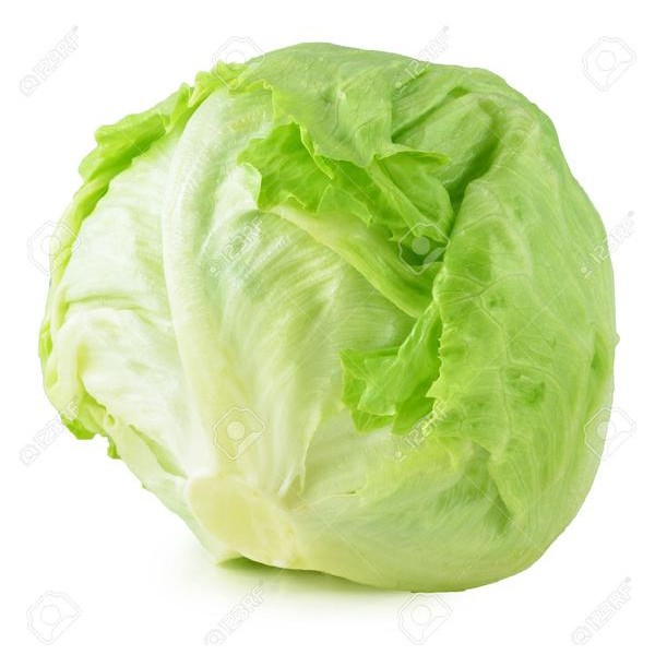 

Selada Lettuce - 1 Pcs
