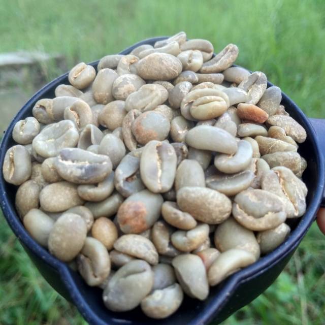 

Green coffee bean (Kopi Biji Hijau) 250gr