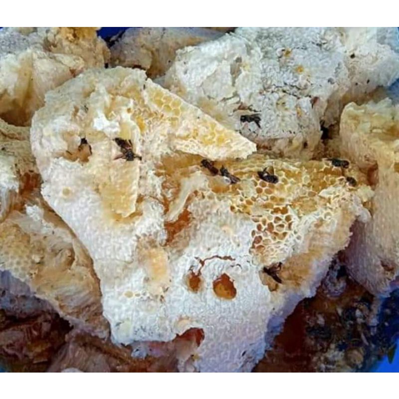 Madu asli Kalimantan