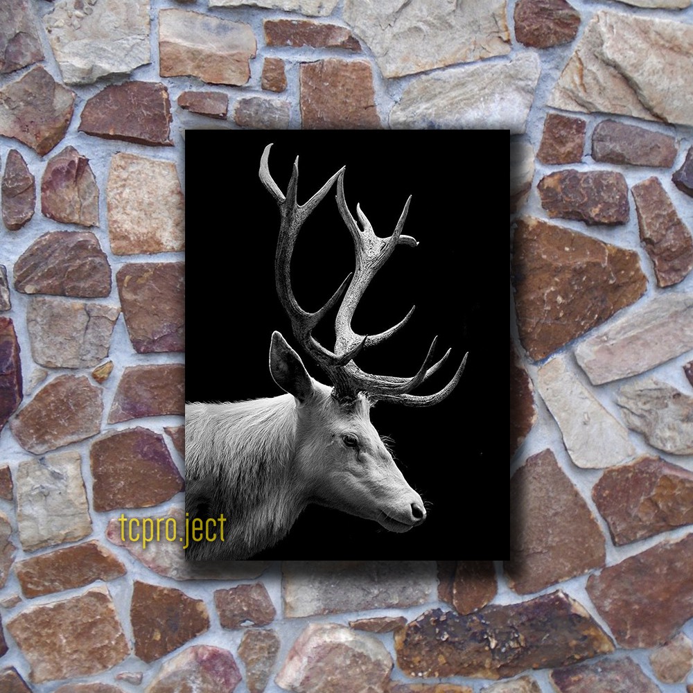 RUSA HEWAN POSTER - DEKORASI HIASAN DINDING