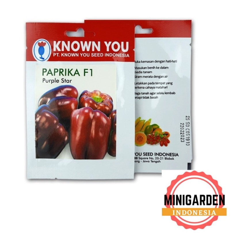 PAPRIKA PURPLE STAR PACK KECIL 25 BIJI Benih cabai cabe Paprika Ungu Hibrida F1 unggul Known You Seed