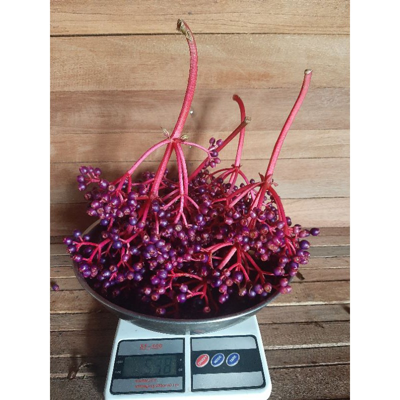 

Parijotho muria Promil 500g