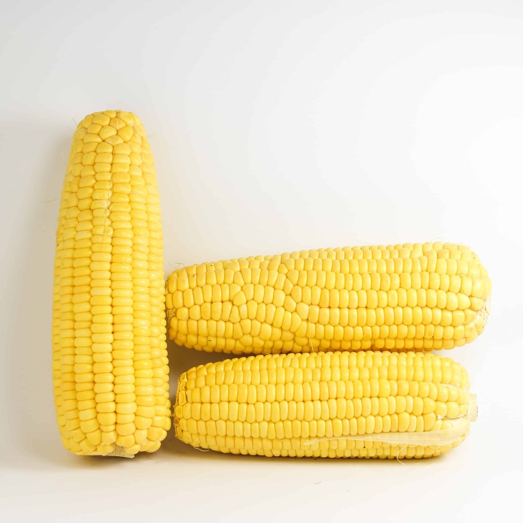 

Jagung