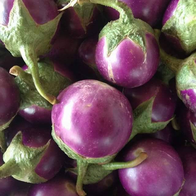 

terong lalap 5000 per 1/2 kg.