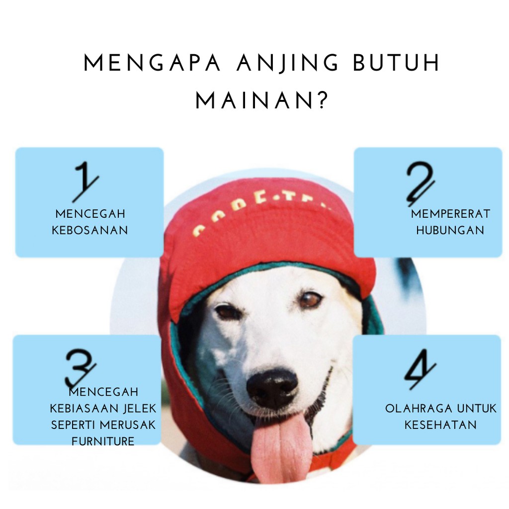 Mainan Gigit Kunyah Bahan Karet Untuk Anjing / Pet Chew Plush Toy Bentuk Kacang Polong Bahan TPR