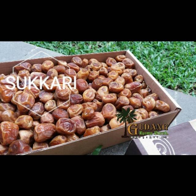 

Kurma sukari al qosim @3kg grosir | Kurma Saudi asli | Gudang Kurma Murah