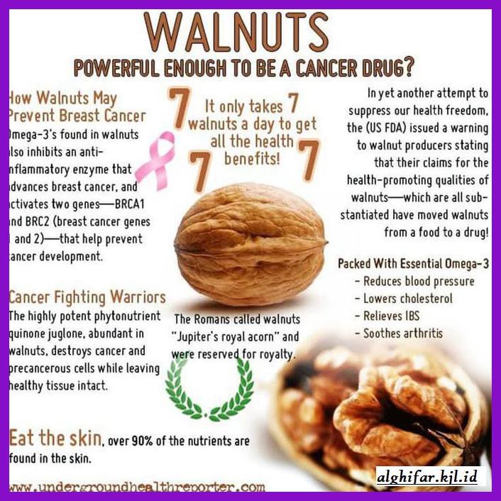 

Makanan-Kering- Walnut 250Gr ( Kacang Walnut ) -Aneka.