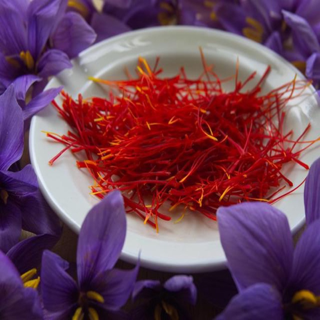 Bunga Saffron Safron Putik per Helai Super Negin Grade A Premium Original Asli Bersertifikat