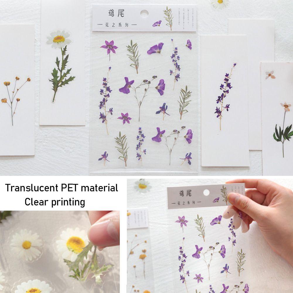 Populer Sticker Dekorasi Scrapbooking Diary Label PET Flat Stiker