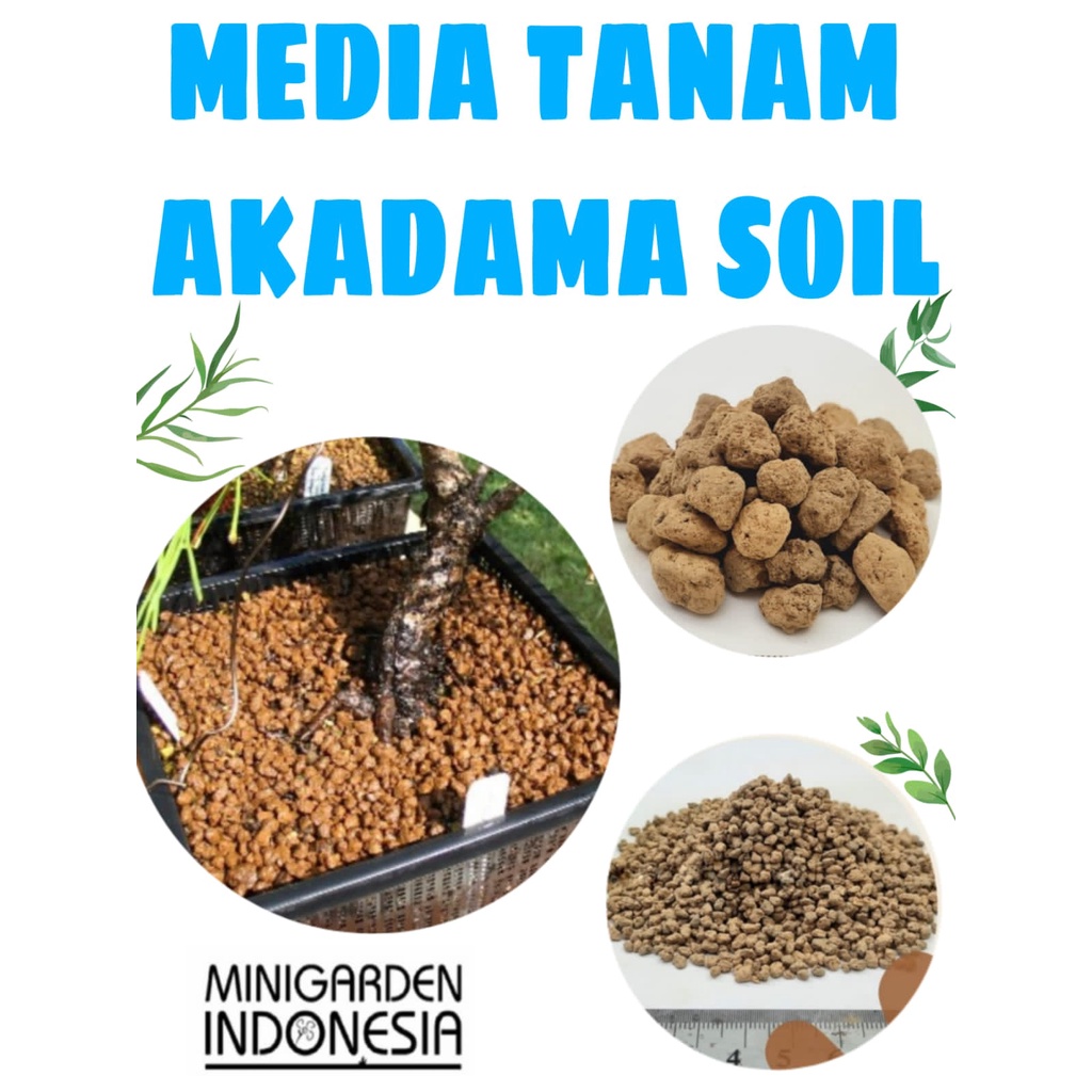 AKADAMA SOIL 500 GRAM import jepang media tanam kaktus sekulen bonsai