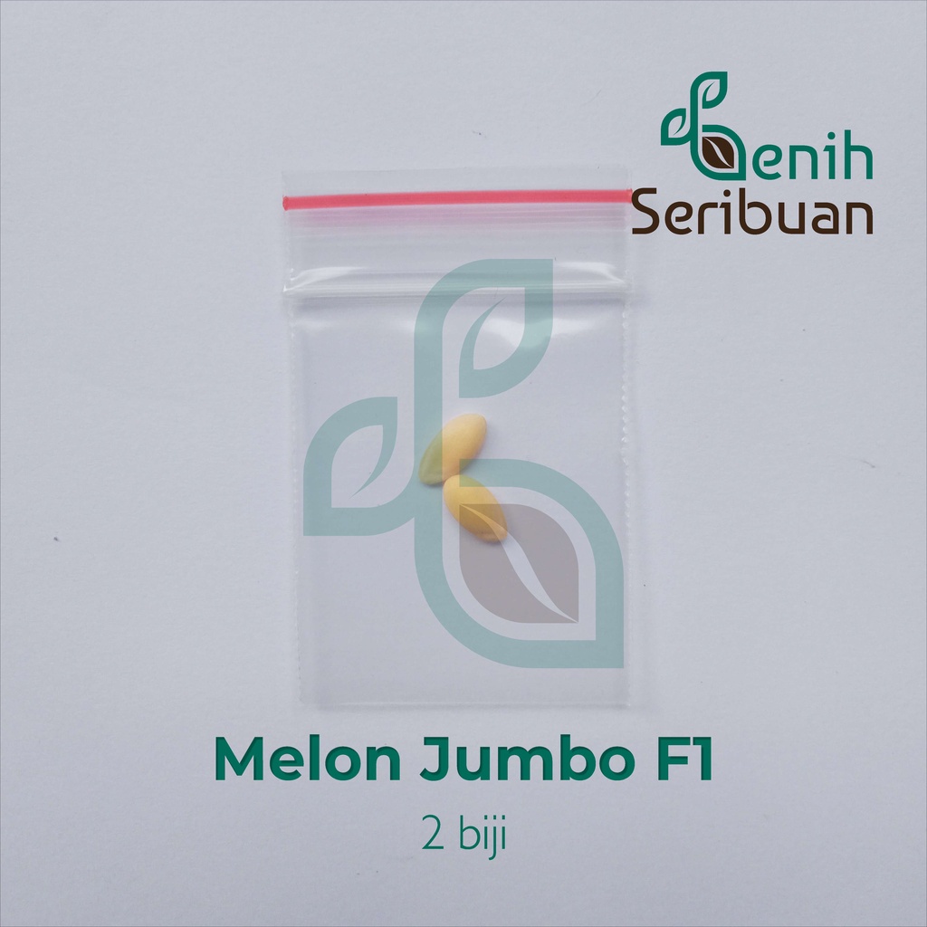 2 Benih Melon Jumbo F1 Hibrida Bibit Buah Melon Orange Manis Super Besar Bintang Asia Tahan Virus