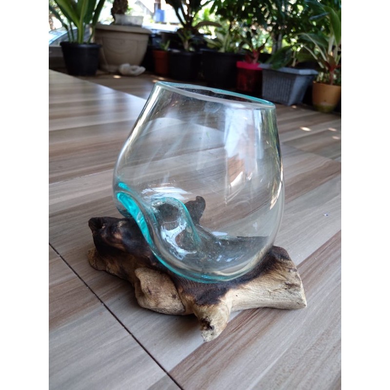 Aquarium Ikan Cupang Aquarium Alas Kayu / Aquarium Aquascape