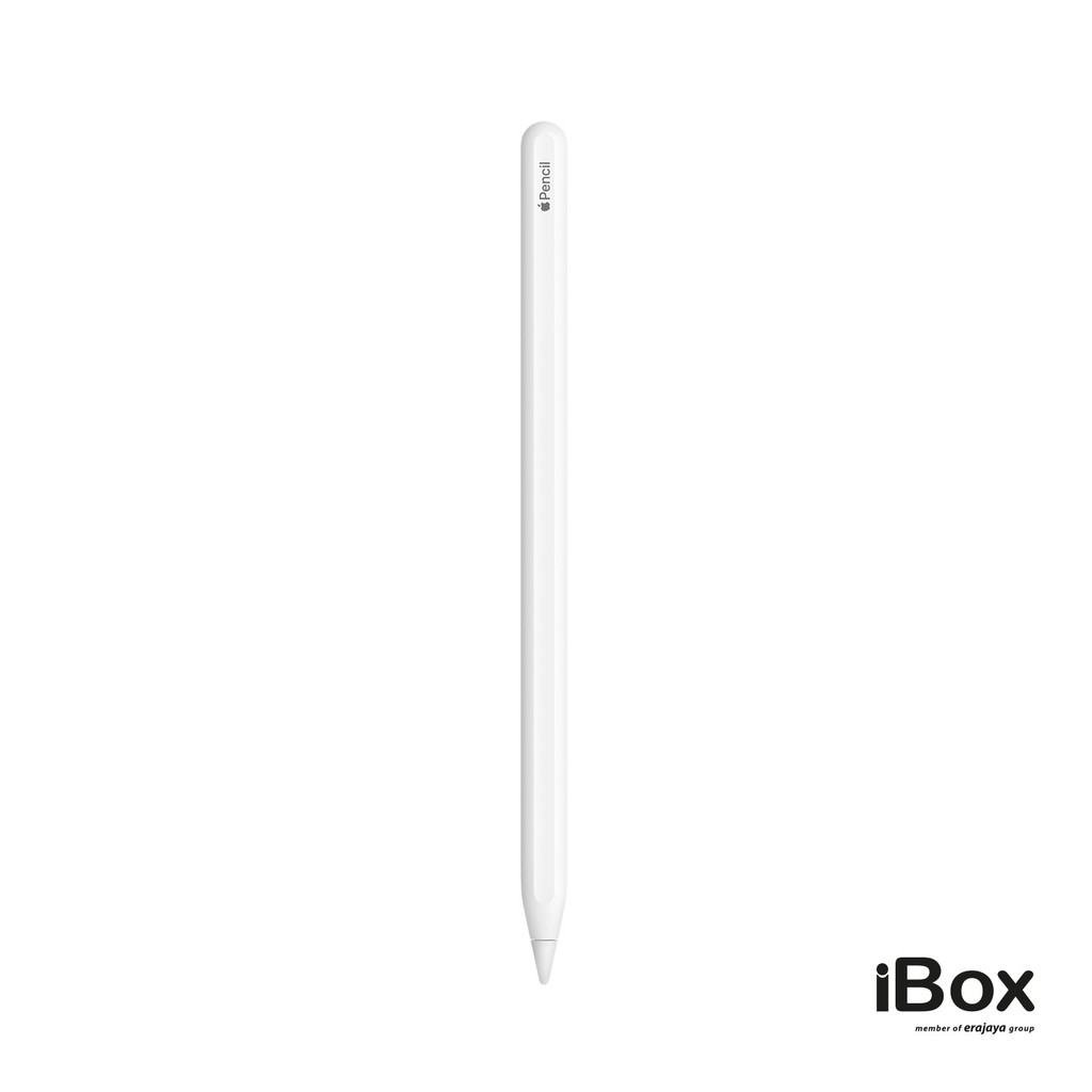 Сколько весит apple pencil 2