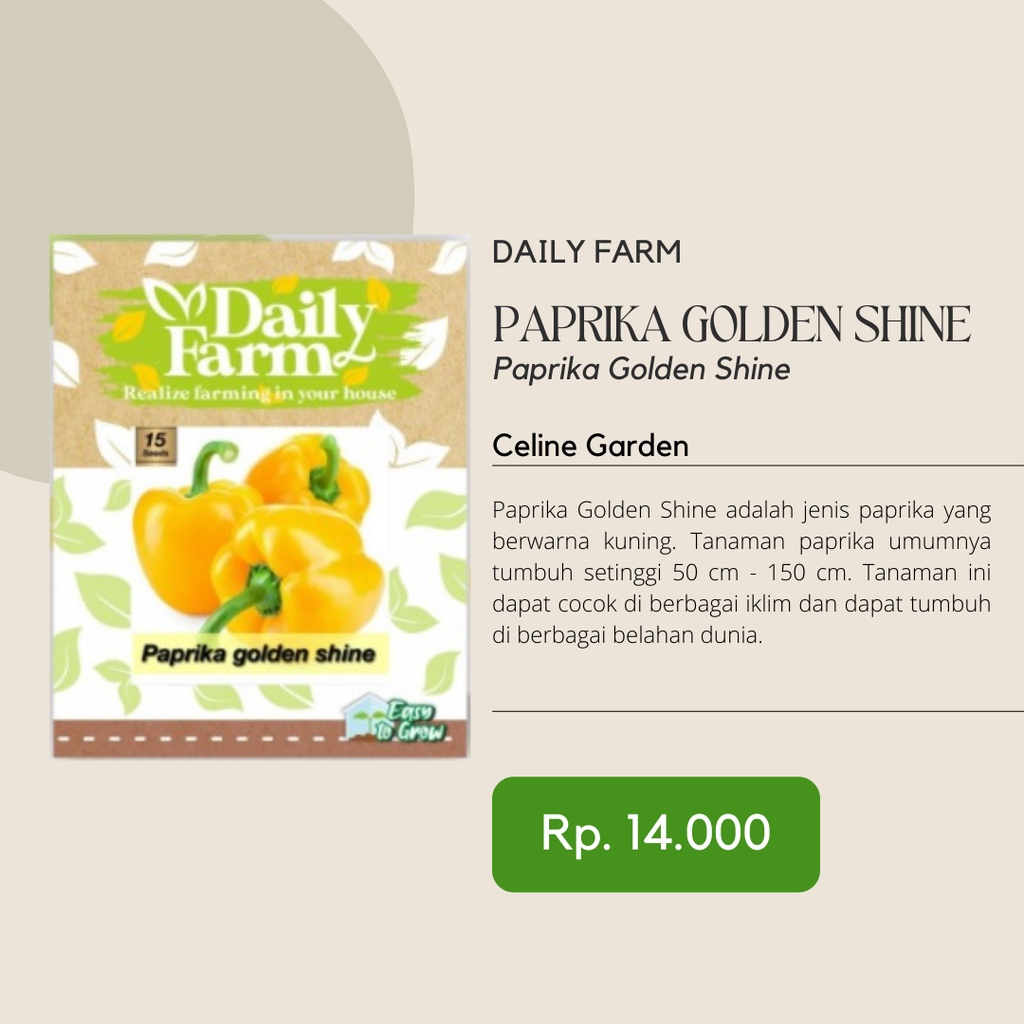 BIBIT PAPRIKA / BIBIT PAPRIKA KUNING / PAPRIKA GOLDEN SHINE / DAILY FARM / ORIGINAL