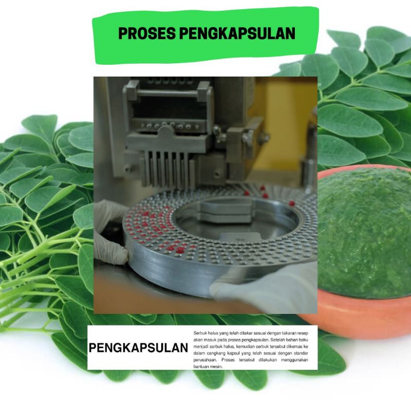 Kapsul Kunir Putih/Kunyit PutihDijamin Berkualitas Tinggi,Halal &amp; Higienis(AMAN UNTUK DIKONSUMSI) kapsul herbal kunir putih kunyit putih