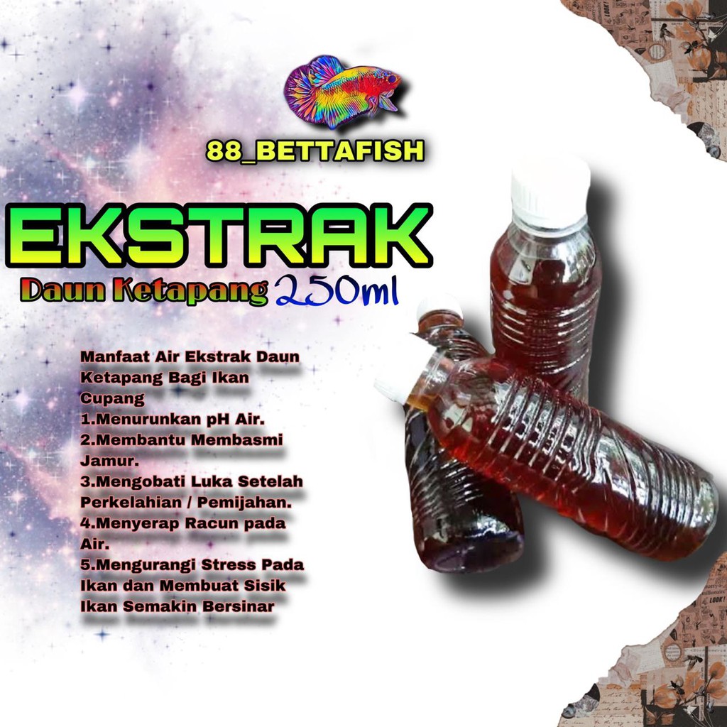 

EKSTAK DAUN KETAPANG by 88_Bettafish