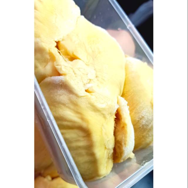 

Durian Monthong Palu Premium