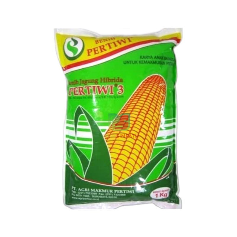 BENIH JAGUNG HIBRIDA PERTIWI 3