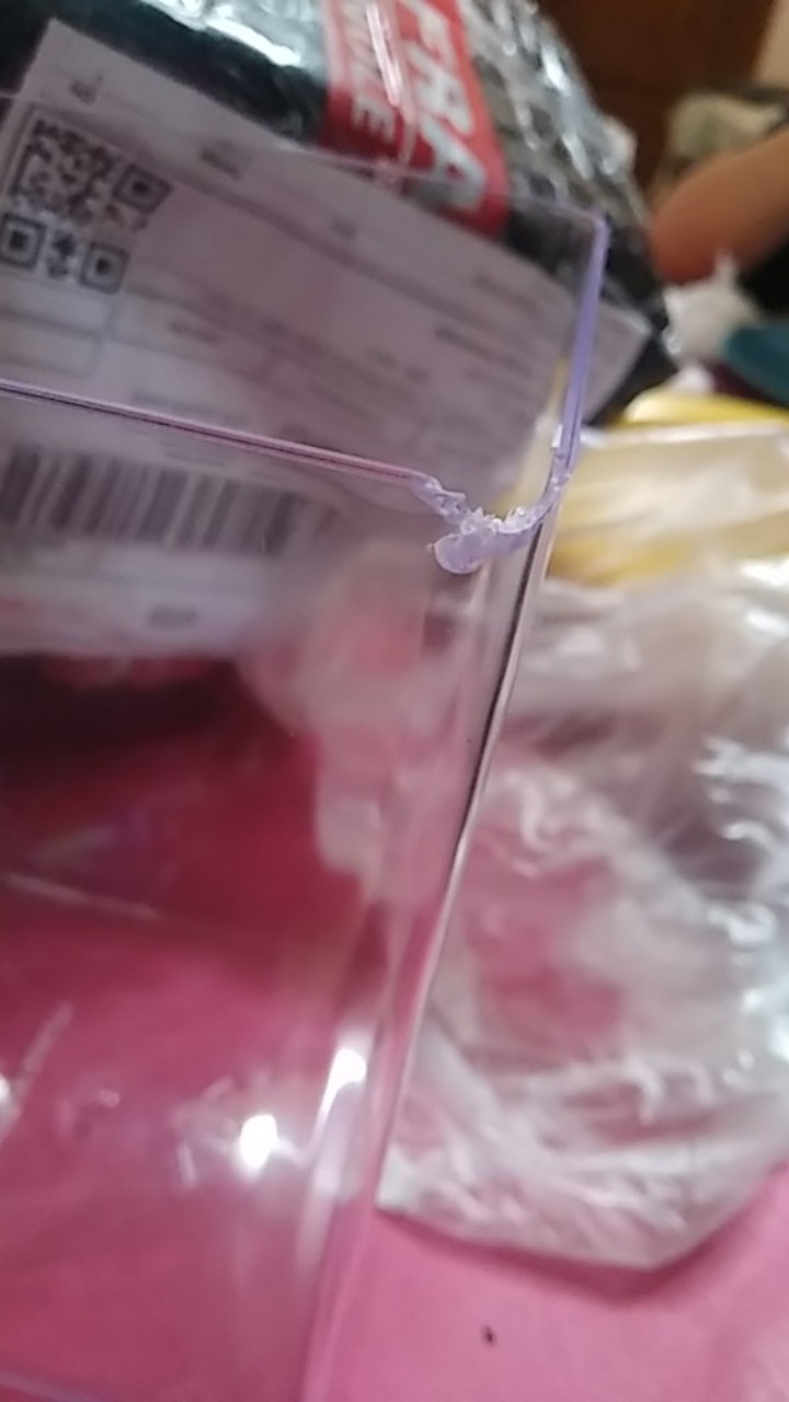 Soliter Akrilik Ikan Cupang