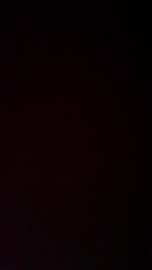 1 Pc Mangkok Nasi Besar Motif Ayam Jago Sayur Ukuran 6 Inch