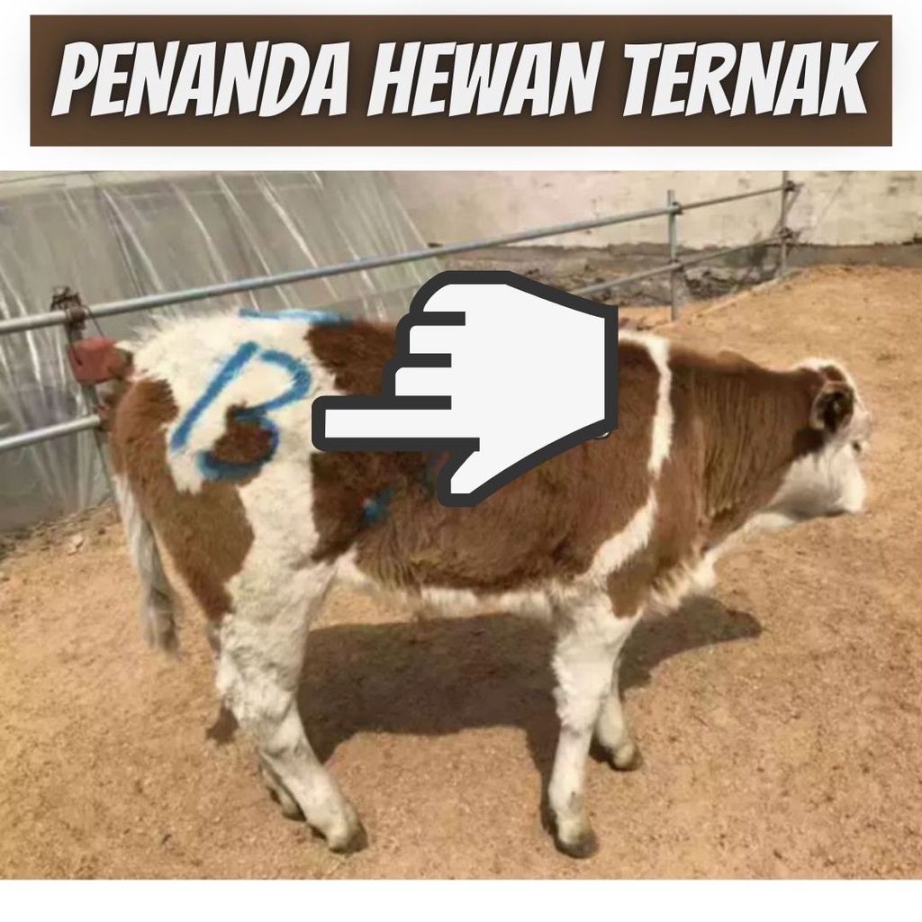 Crayon Spidol Untuk Tanda Tubuh Babi Sapi Domba Kambing Ternak Pig Cow Alat Penanda Hewan 3 Warna FEFARM