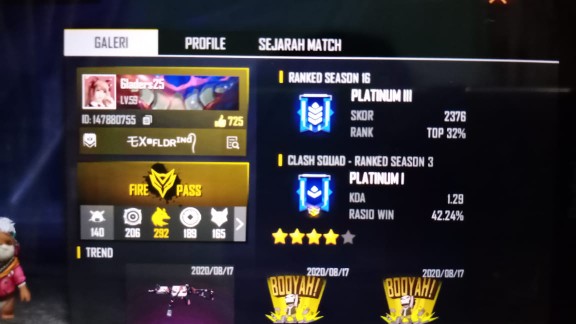 Biji Bunga Evening Primrose (primula) Mixedb