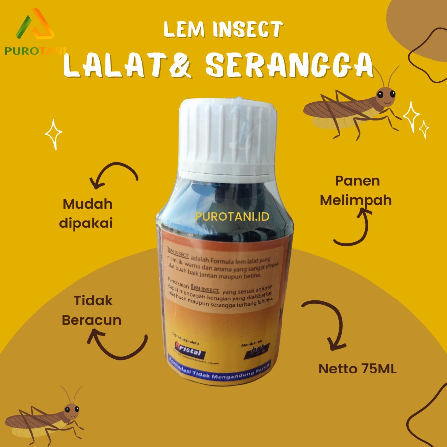 Perangkap hama lalat buah obat lem umpan lalat buah Lem Insect Glue