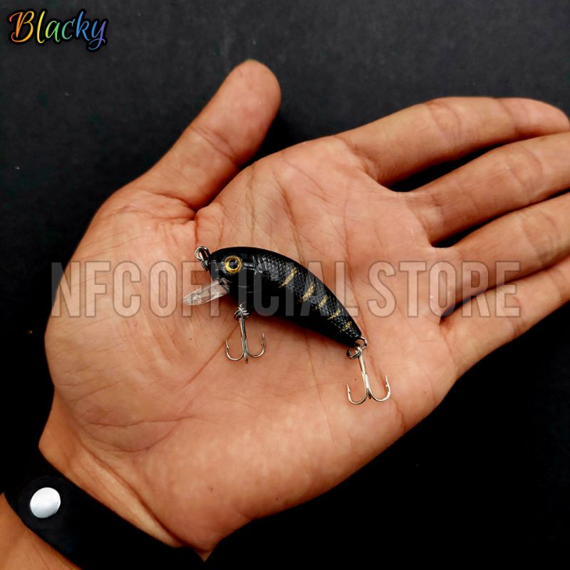 Lure minnow floating 5 cm 4,5 gram Best Killer Action