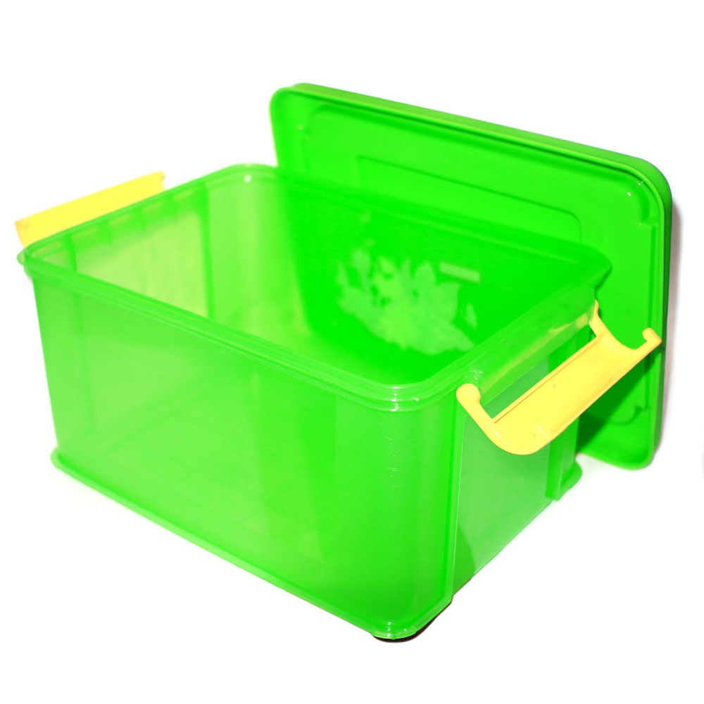 Maspion master box Large - tempat penyimpanan serbaguna - random colour