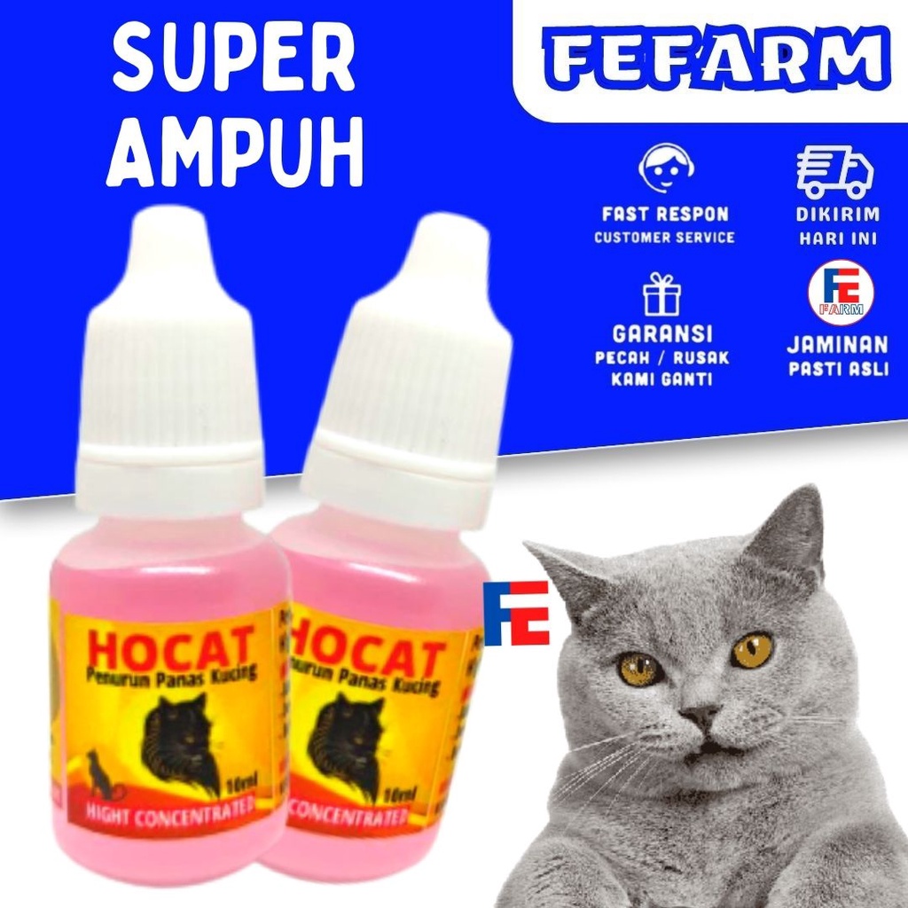 Obat Demam Panas Kucing Cat Kitten Hocat 10ml FEFARM