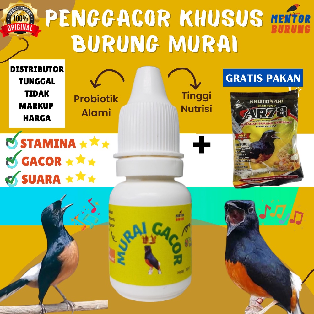 [GRATIS PAKAN] Murai Gacor Multivitamin Murai Doping Penggacor Instan Khusus Burung Murai Kicau Suplement Meningkatkan Stamina Suara Gacor Kristal Lomba